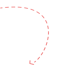 vector